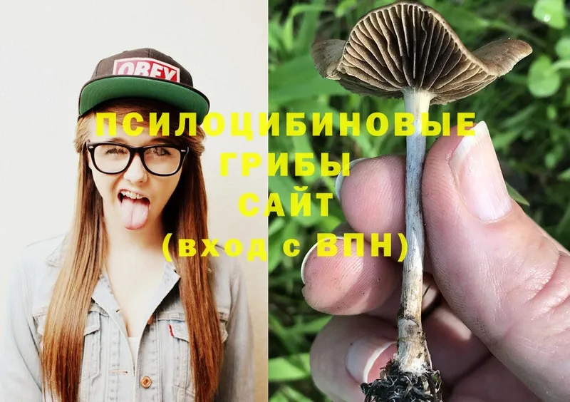 Псилоцибиновые грибы Psilocybine cubensis  цена   Ряжск 